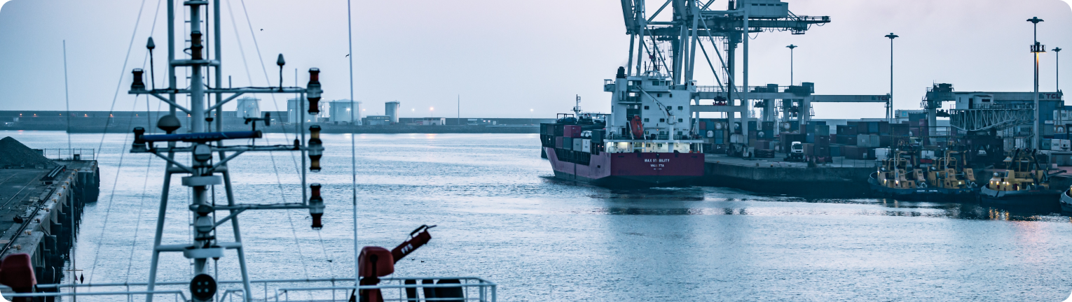 Introducing Crewvector: Navigating the Future of Maritime Management